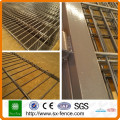 Shunxing Brand BWG12 13 защитный забор с двойной проволочной сеткой